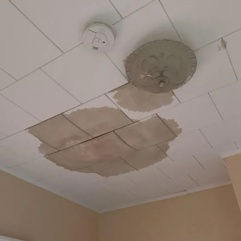 Ceiling Water Damage Repair in Oxford, MS
