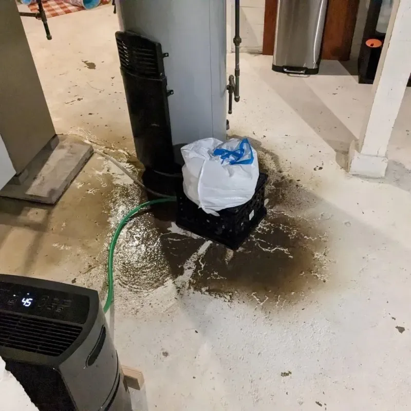 Sewage Backup Cleanup Service in Oxford, MS